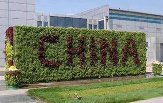 园林工程的6种垂直绿化形式