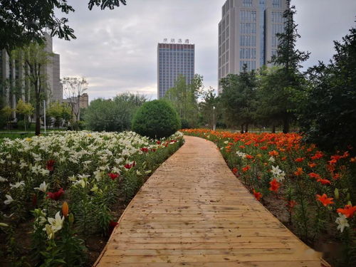 精心实施园林绿化建设工程 着力提升市民获得感幸福感