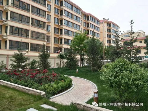 临洮怡康苑住宅小区园林景观绿化工程