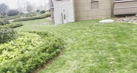 城市芳华动态 小区绿化正在施工中 日照安居客