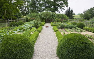 上海绿化园艺工程哪家专业而且又好