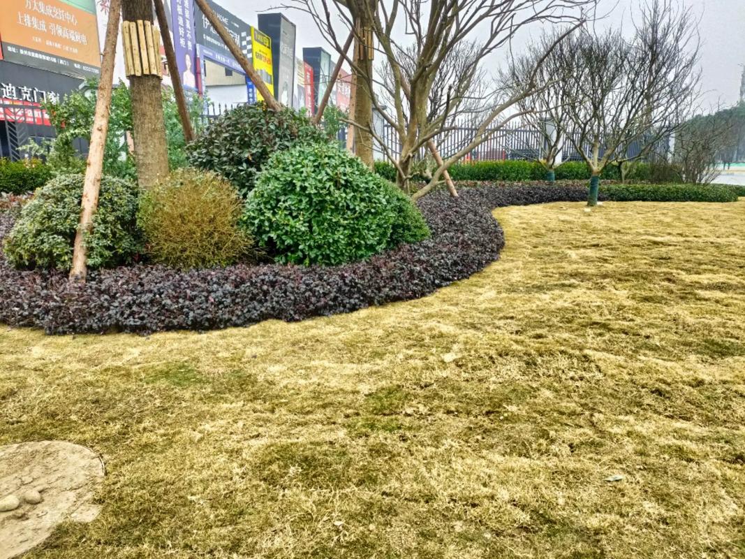 园林绿化工程 #施工现场实拍 #记录在工地上的日子 #踏实