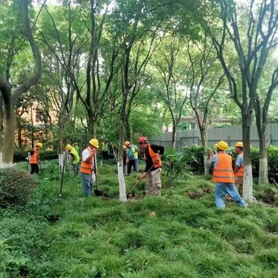 这座公园围墙即将打开,实现与绿色空间的无界交流