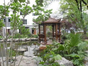 【南宁信誉好的南宁园林绿化施工广西园林绿化施工】-