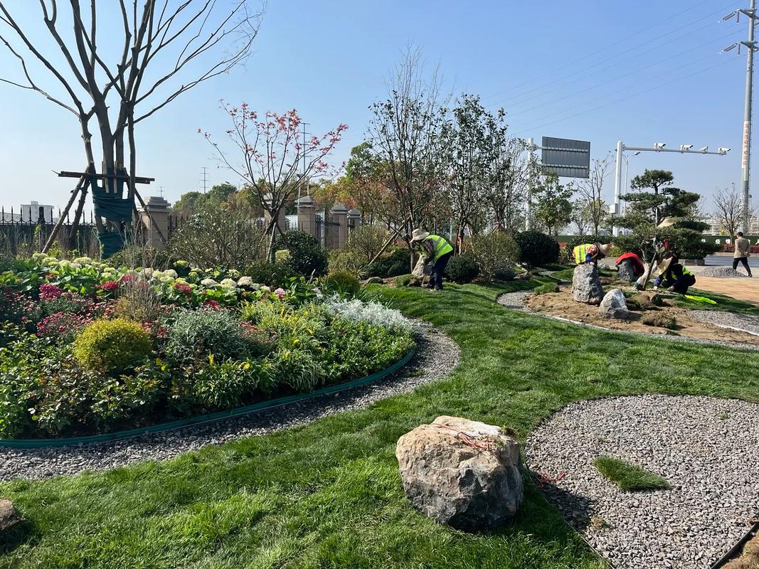 园林绿化工程 #施工现场实拍