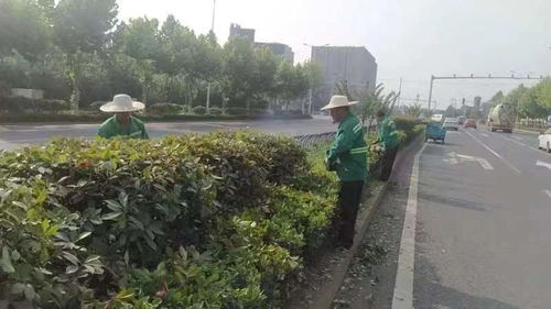 区园林绿化维护中心 天心区政府门户网站