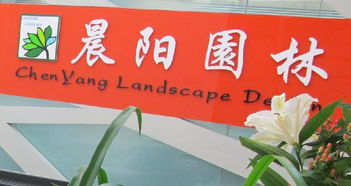 一呼百应公司频道