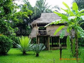 园林绿化生态茅草屋价格优惠