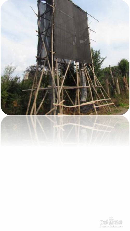 园林绿化施工中乔灌木种植注意事项