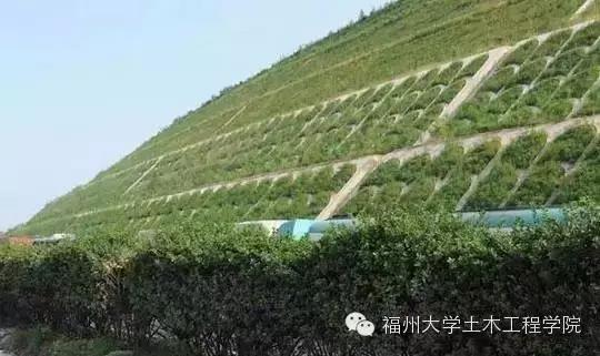 新技术 植生混凝土,让建筑生机勃勃