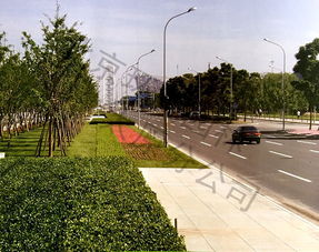 如何提高园林绿化工程的施工质量管理