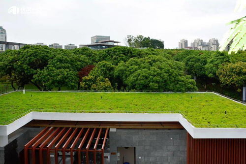 三龙湾大道及相连道路综合提升 景观工程 设计施工总承包工程