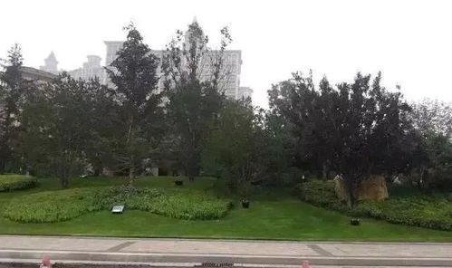 这些园林绿化工程施工技术规范,值得你花时间学习一下