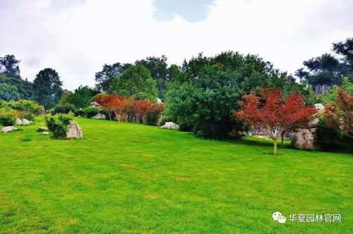 园林景观绿化工程公司路在何方