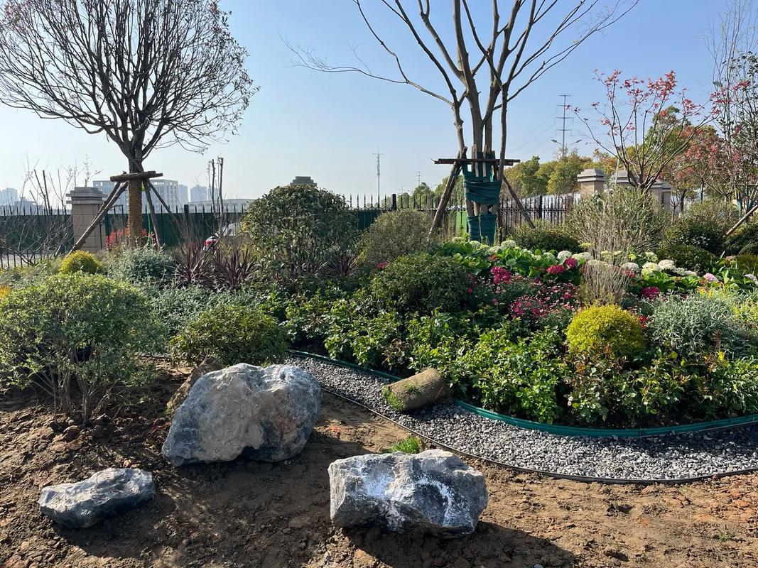 园林绿化工程 #施工现场实拍