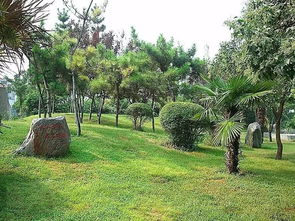 最新 河南这些东西统统免费 很多人还不知道