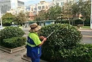 园林绿化工程中存在的部分问题及建议