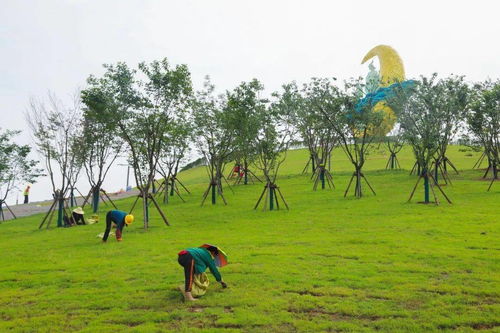 今日小满,大王山遇夏