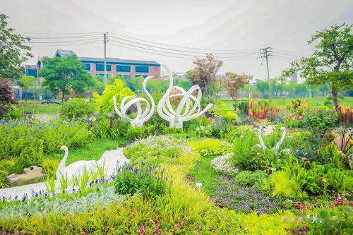 2021年河南省园林绿化花境竞赛部分参赛作品赏析