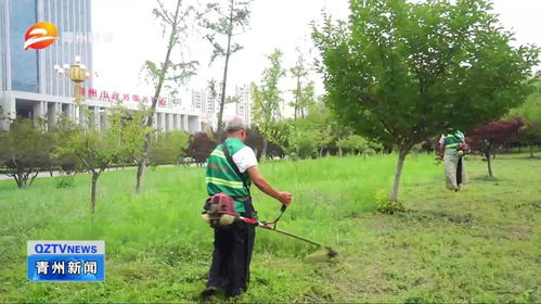 潍坊青州 加强园林绿化管护 提升城市绿色品质