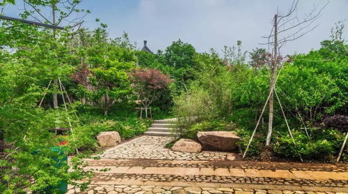 园林铺装大全,让园林更具艺术