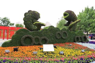 美 今年城区实施园林绿化工程15项,这些地方风景如画