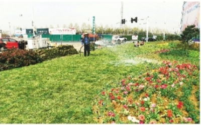 特色花境扮美西大门