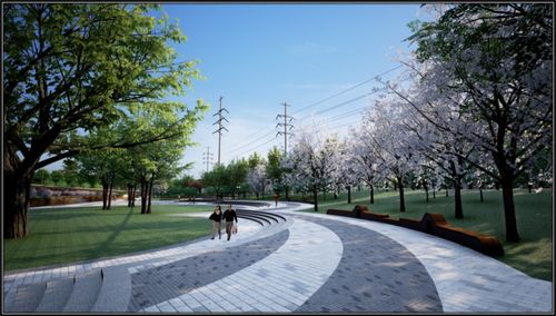 蜀山区匡河北段绿化提升工程9月初开工