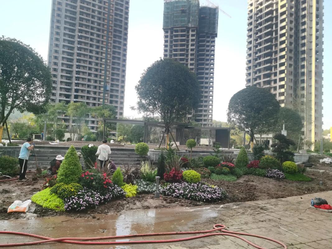 地产项目大门入口节点花境设计施工~#园林绿化工程 #施工现场