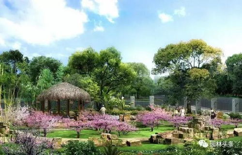 市政及园林绿化工程设计招投标新管理办法颁布