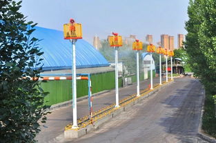 邯郸洗选厂荣获 全国绿化模范单位