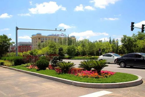 鄂托克旗园林绿化局 全力打造城镇 花海