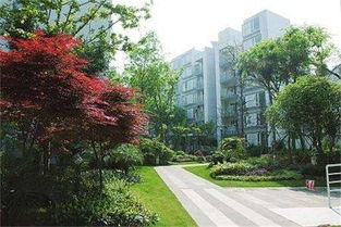 泰盛市政园林工程专业 专注 专心