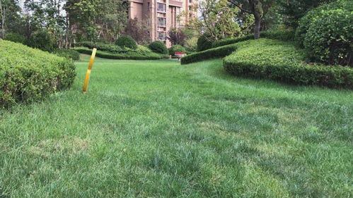 德州发布园林绿化种植土壤地方标准 为全省首例