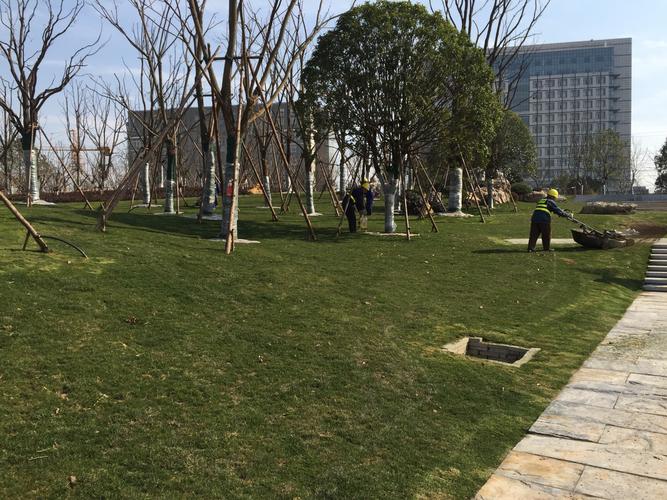 武汉青山江滩二期园林景观绿化工程 - 美篇