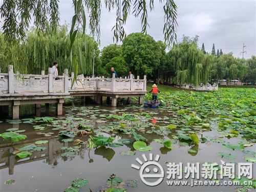 紧急提醒 荆州已出现 千万别碰