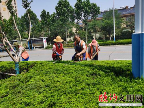 高新区 创建全国文明城市,园林人在行动