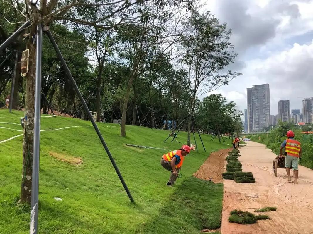 边坡绿化工程.边坡绿化工程专业绿化施工,助力打造绿色家园.精