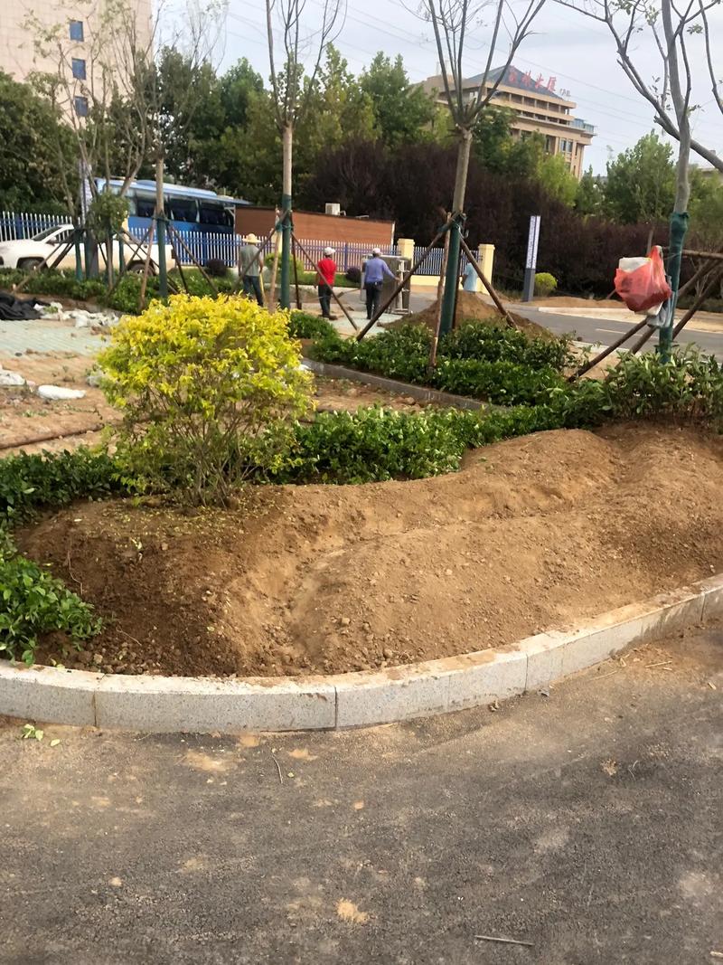 园林绿化工程 #小区绿化 #花园施工 #庭院景观设计 #景