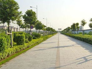 如何在市政道路园林施工完善绿化养护管理 好养护