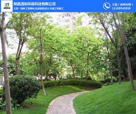 园林工程 清和园林专业团队 防风沙园林工程