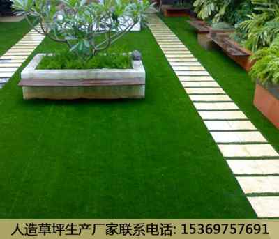 新闻 满洲里塑胶草坪每平米价格