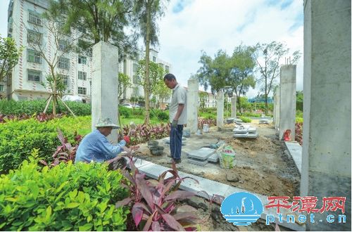 平潭东门社区绿化改造 鸡棚鸭舍变成了公园