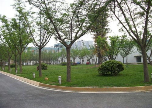 【花都园林绿化工程价格】- 