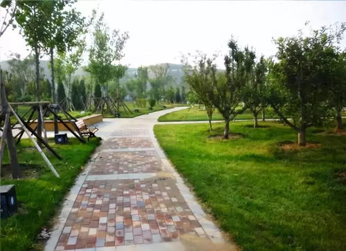 园林绿化工程质量关如何把控