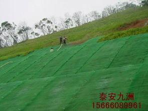 云南三维植被网,边坡植草绿化价格 厂家 图片