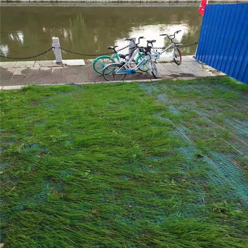 天津椰丝毯生产厂家 价格实惠属我家