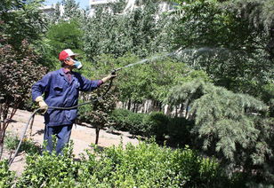 延吉市华天园林绿化 经营产品介绍 图