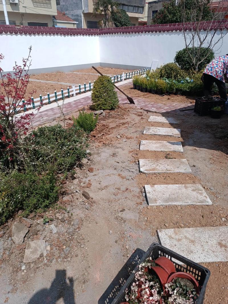 单位绿化施工现场#园林景观 #景观工程