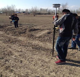 园林绿化施工技术大全